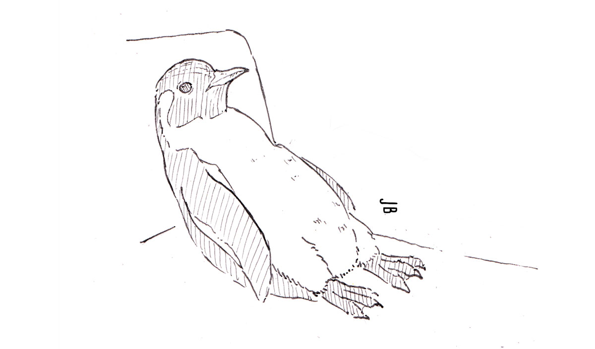 Pingu en thérapie
